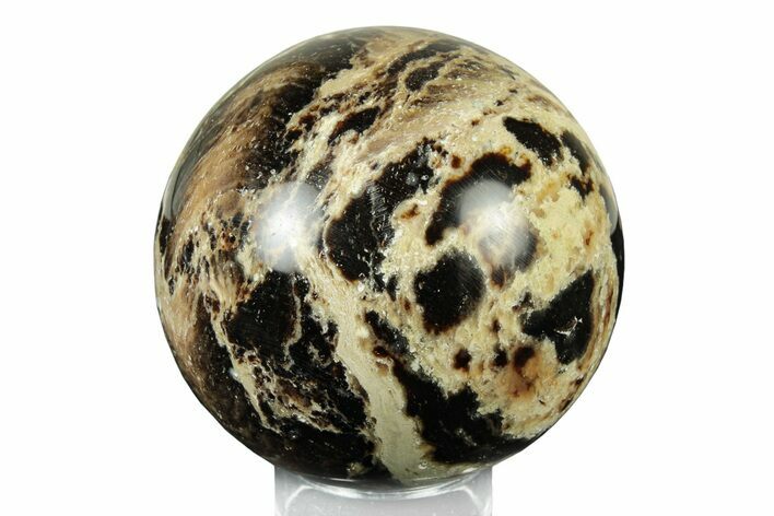 Polished Black Opal Sphere - Madagascar #250801